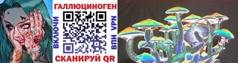 Купить  Могоча  Псилоцибиновые грибы Cubensis 